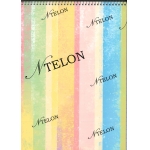 ΜΠΛΟΚ ΣΠΙΡΑΛ NTELON 20χ30 80 ΦΥΛΛΩΝ