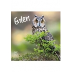 ΗΜΕΡΟΛΟΓΙΟ ΤΟΙΧΟΥ (KORSCH VERLAG) ΔΙΑΦΟΡΑ ΣΧΕΔΙΑ