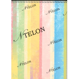 ΜΠΛΟΚ ΣΠΙΡΑΛ NTELON 20χ30 80 ΦΥΛΛΩΝ