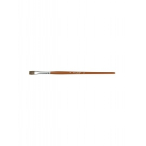 ΖΩΓΡΑΦΙΚΗΣ ΠΙΝΕΛΛΑ ΠΛΑΚΕ Νο. 2